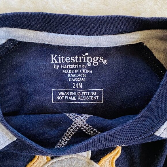 Boy Toddler Pit Bull Terrier Dog PJ Loungewear Set Size 24 months Kite Strings - Picture 6 of 11